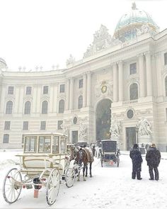 Vienna Winter, Coffee Words, Merry Christmas Wishes, Winter Magic, Snowy Day, Dream City, Arte Fantasy, Winter Aesthetic, Best Places To Visit