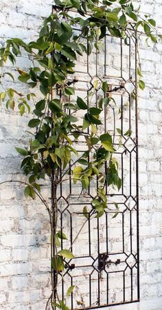 a white brick wall with a metal planter and some green plants growing on it