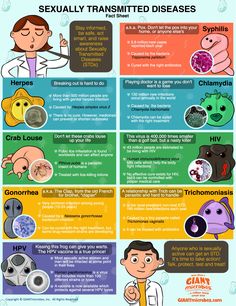 an info poster describing the different types of mosquitoes and how they can help them