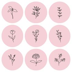 six different types of flowers in black and pink circles on a light pink background illustration