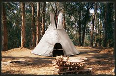 a teepee sitting in the middle of a forest