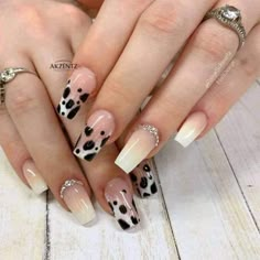 Dixie Chicks Concert Nails, French Nails Cow Print, Ombre Western Nails, Ombre Cow Print Nails, Cow Print Wedding Nails, Spring Cow Print Nails, Coffin Cow Print Nails, Cow Print Nails Coffin, Nails Acrylic Cow Print