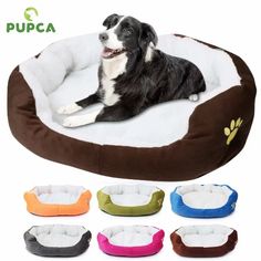 a dog laying on top of a pet bed with different colors and sizes in front of it