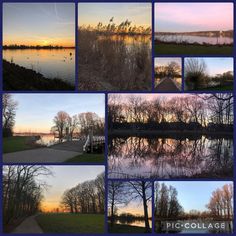 many different pictures of trees and water at sunset