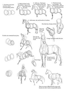 how to draw horses step by step in this drawing lesson, you can learn how to draw