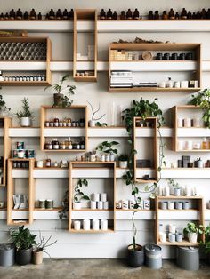 many shelves with plants and pots on them