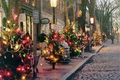 several christmas trees are lined up on the sidewalk in front of buildings and street lamps