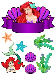 the little mermaid is sitting on top of some seaweed and starfish, with an empty