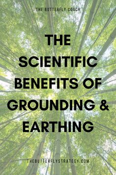 The Scientific Benefits of Grounding & Earthing 2025 Intentions, Grounding Benefits, Eco Therapy, Crunchy Life, Forest Therapy, Nature Therapy, Earthing Grounding