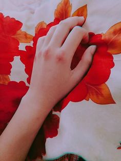 a person's hand on top of a red flowered pillow with white background