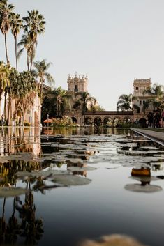 the reflection of palm trees in the water