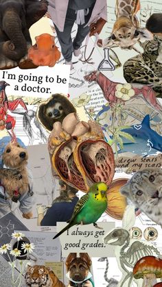 a collage of pictures with animals and text that reads i'm going to be a doctor