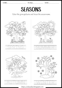 seasons worksheet with four different trees