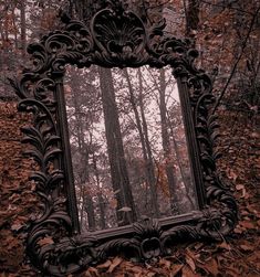 a mirror sitting on the ground in front of trees with leaves all over it's sides