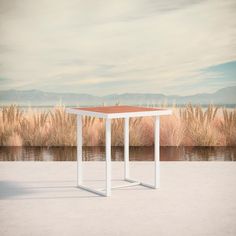 a white table sitting in front of a body of water with tall grass behind it