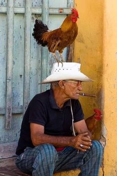 Jamie Johnson, Photographie Portrait Inspiration, Human Reference, Havana Cuba, Human Poses Reference, Human Poses, Human Race, Body Reference, A Chicken