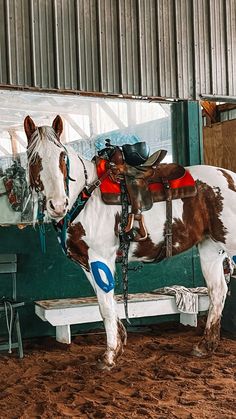 a brown and white horse standing in front of a mirror with saddles on it's back