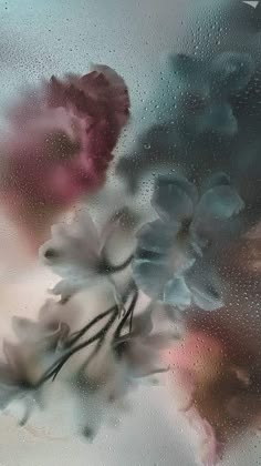 flowers are seen through the frosted glass on a rainy day in this image, there is only one flower left