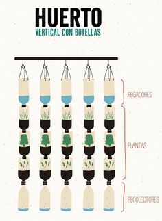 a diagram showing the different types of bottles hanging from a line with plants in them