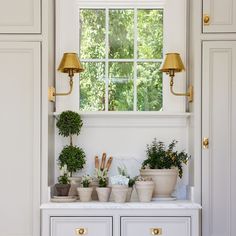 some potted plants are sitting on a window sill