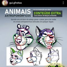 the front cover of an interactive guide to drawing animals