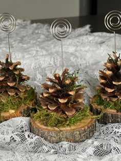 three pine cones are sitting on top of some moss and wood logs, with needles sticking out of them