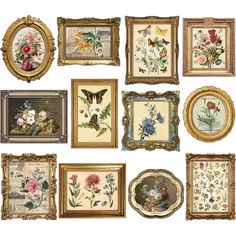 an assortment of framed pictures with flowers and butterflies on them, all in gold frames