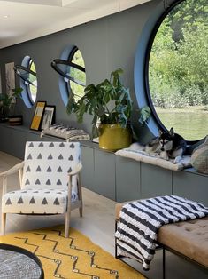 a living room filled with lots of furniture and plants on top of windowsills