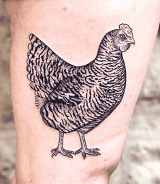 a black and white chicken tattoo on the right calf's leg, showing it's legs