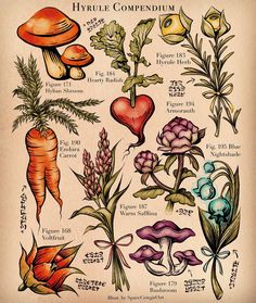 an old book page with different types of flowers and plants