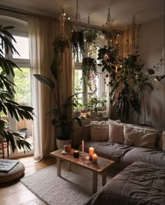 a living room filled with lots of plants and candles on top of a coffee table