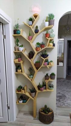 a tree shaped shelf with potted plants on it