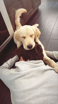 a dog laying on top of a person wearing a beard