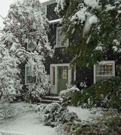 a house covered in snow with trees and bushes on the front lawn during a winter storm