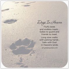 footprints in the sand with a poem written on it that says, dogs are heaven