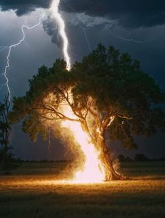 a lightning bolt striking over a tree in the middle of a field with grass and trees