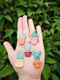 a person's hand with small cactus and succulents on it