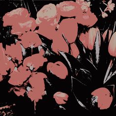 a bunch of flowers that are in some kind of black and pink color scheme,