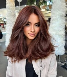 Dark Fall Hair, Chestnut Hair, Chestnut Hair Color