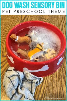 a red bowl filled with dog toys on top of a wooden table