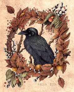 a black bird sitting on top of a tree branch surrounded by leaves and acorns