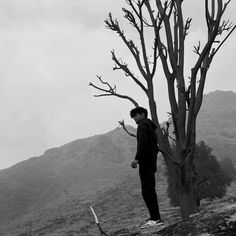 a man standing next to a tree on top of a hill