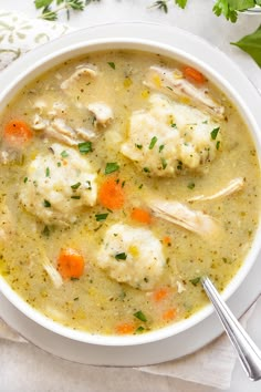 a bowl of chicken and dumpling soup with carrots, parsley on the side