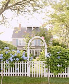 a white picket fence with blue flowers growing on it and a house in the background