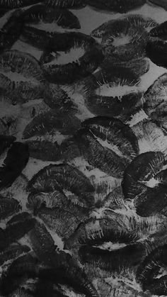 black and white photograph of feathers in the snow