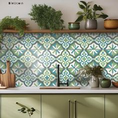 the kitchen counter is covered with potted plants