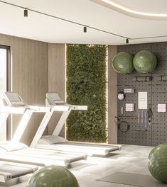 there are many exercise balls in the room and one is on the wall with a green plant