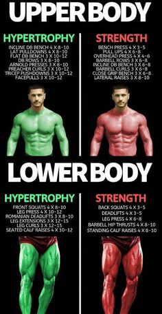 the different types of upper body muscles are shown in this poster, which shows how they work