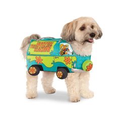 a white dog wearing a blue and green scooby van costume with flowers on it