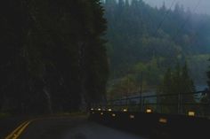 an empty road in the middle of a forest with trees on both sides at night